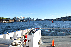 MIDSUMMERS NIGHT SOIREE